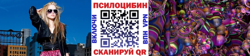что такое наркотик  Пятигорск  Галлюциногенные грибы Psilocybe 