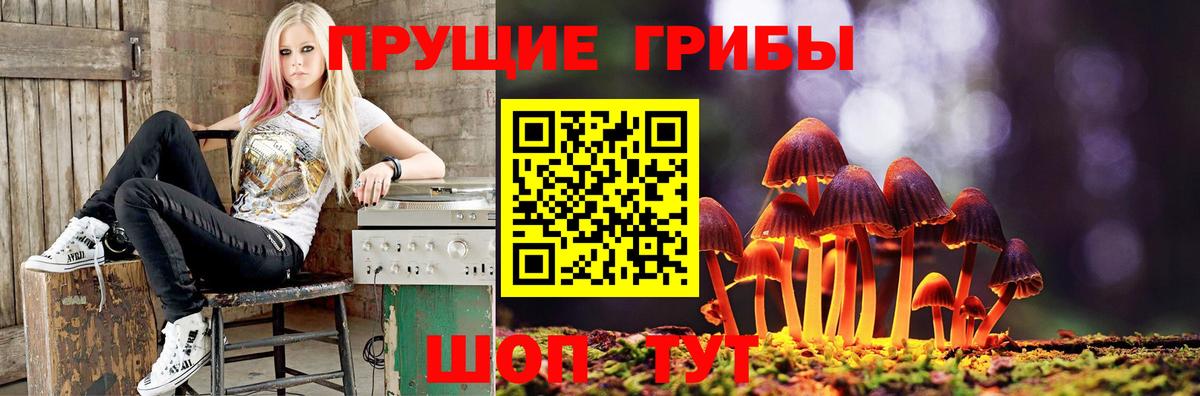 Псилоцибиновые грибы мицелий  Псилоцибиновые грибы Psilocybine cubensis  Вход с VPN  Пятигорск 